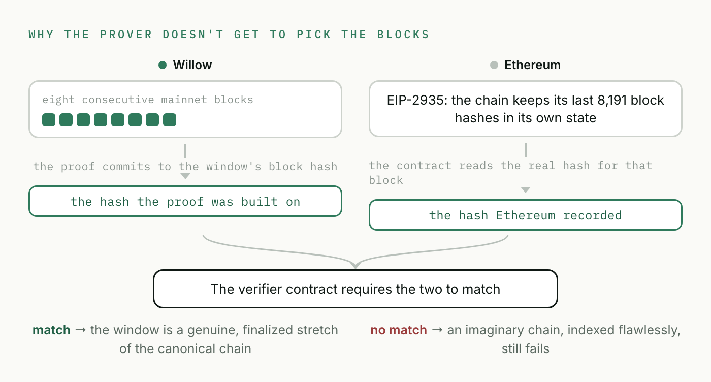 Why the prover doesn't get to pick the blocks: the proof commits to the window's block hash, the contract reads the real hash from Ethereum's EIP-2935 history, and the verifier requires the two to match