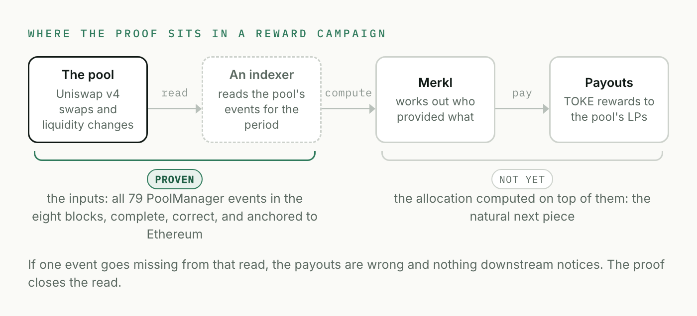 Where the proof sits in a reward campaign: the pool's events are read by an indexer, Merkl works out who earned what, and rewards are paid; the proof covers the read, all 79 PoolManager events across the eight blocks, and not yet the allocation computed on top